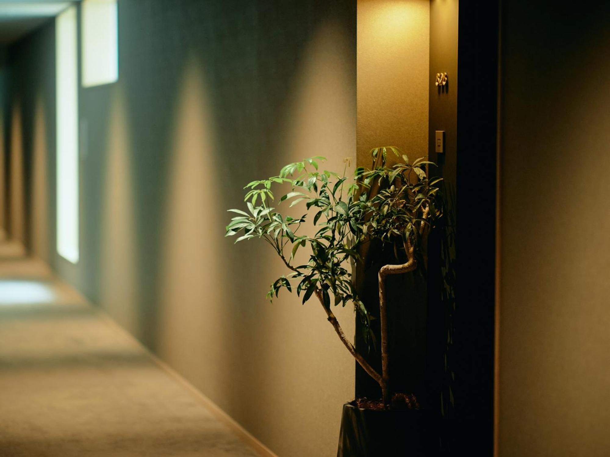 Good Nature Hotel Kyōto Zimmer foto A corridor in a hotel